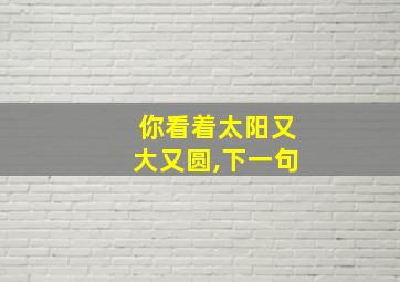 你看着太阳又大又圆,下一句