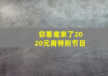 你看谁来了2020元宵特别节目