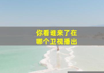 你看谁来了在哪个卫视播出