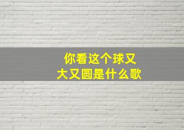 你看这个球又大又圆是什么歌