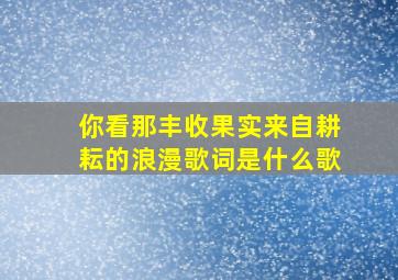 你看那丰收果实来自耕耘的浪漫歌词是什么歌