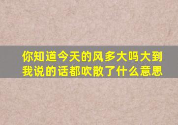 你知道今天的风多大吗大到我说的话都吹散了什么意思