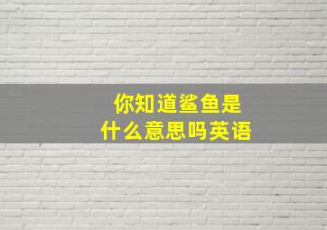 你知道鲨鱼是什么意思吗英语