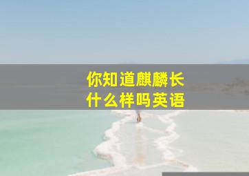 你知道麒麟长什么样吗英语