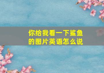 你给我看一下鲨鱼的图片英语怎么说