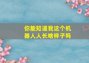 你能知道我这个机器人人长啥样子吗