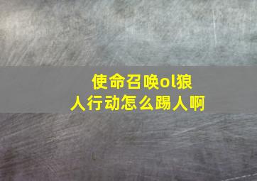 使命召唤ol狼人行动怎么踢人啊