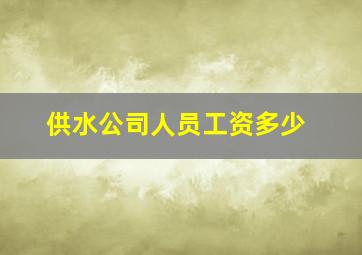 供水公司人员工资多少