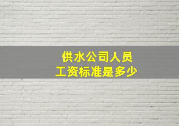 供水公司人员工资标准是多少