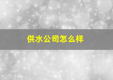 供水公司怎么样