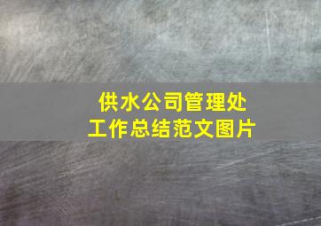 供水公司管理处工作总结范文图片