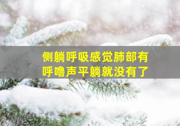 侧躺呼吸感觉肺部有呼噜声平躺就没有了