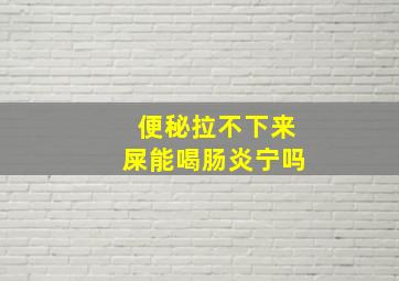 便秘拉不下来屎能喝肠炎宁吗