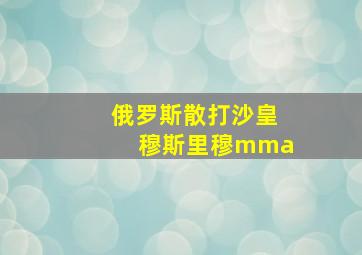 俄罗斯散打沙皇穆斯里穆mma