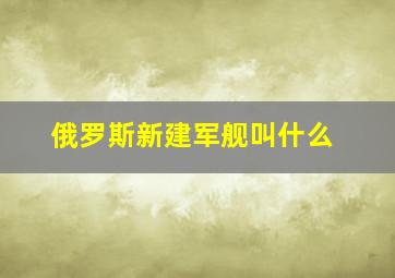 俄罗斯新建军舰叫什么