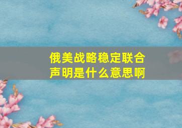 俄美战略稳定联合声明是什么意思啊