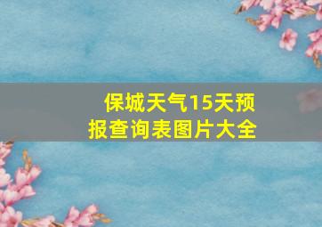 保城天气15天预报查询表图片大全