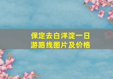 保定去白洋淀一日游路线图片及价格