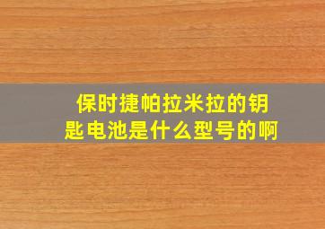 保时捷帕拉米拉的钥匙电池是什么型号的啊