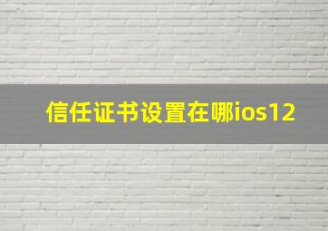 信任证书设置在哪ios12