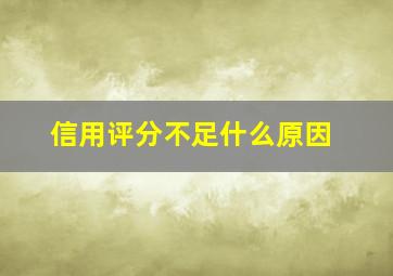 信用评分不足什么原因