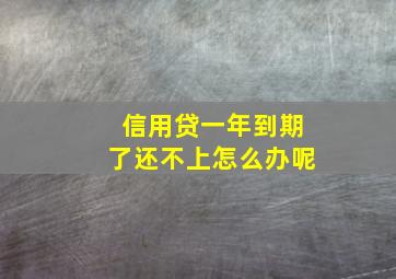 信用贷一年到期了还不上怎么办呢