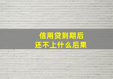 信用贷到期后还不上什么后果