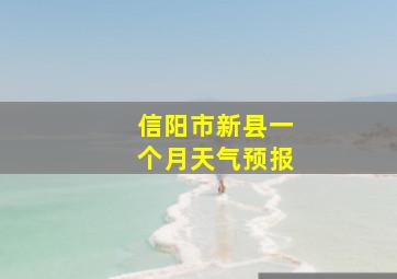 信阳市新县一个月天气预报