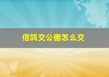 信鸽交公棚怎么交