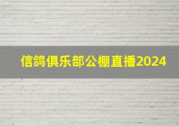 信鸽俱乐部公棚直播2024