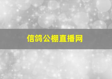 信鸽公棚直播网