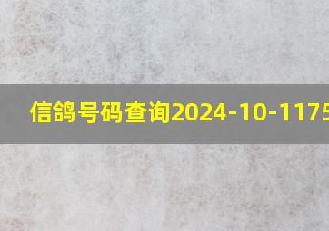 信鸽号码查询2024-10-1175565