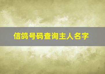 信鸽号码查询主人名字