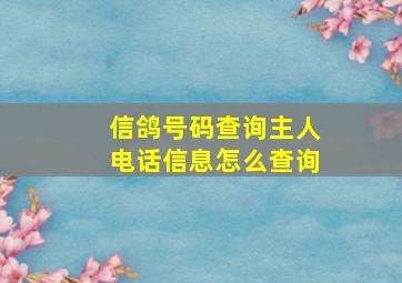 信鸽号码查询主人电话信息怎么查询