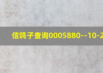 信鸽子查询0005880--10-2023