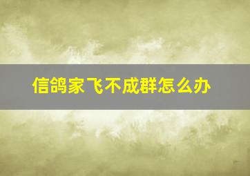 信鸽家飞不成群怎么办