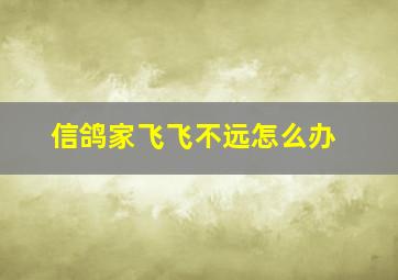 信鸽家飞飞不远怎么办