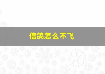 信鸽怎么不飞