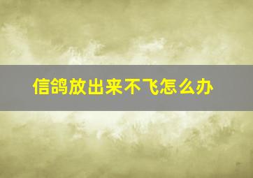 信鸽放出来不飞怎么办