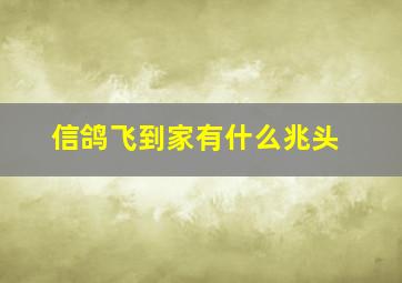 信鸽飞到家有什么兆头