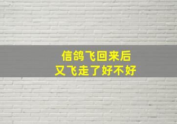 信鸽飞回来后又飞走了好不好