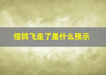 信鸽飞走了是什么预示