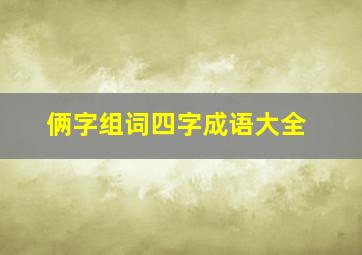 俩字组词四字成语大全