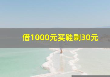 借1000元买鞋剩30元