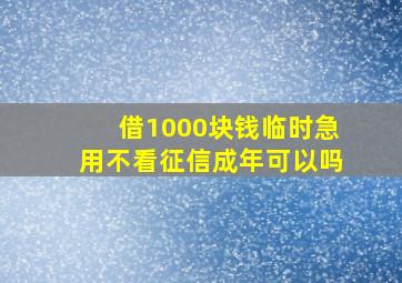 借1000块钱临时急用不看征信成年可以吗