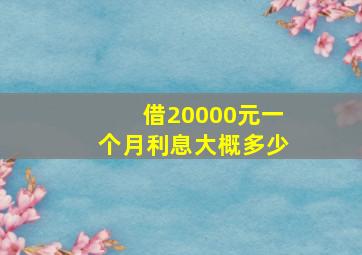 借20000元一个月利息大概多少