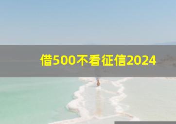 借500不看征信2024