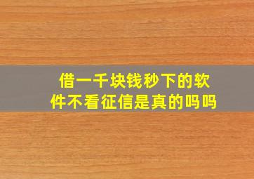 借一千块钱秒下的软件不看征信是真的吗吗