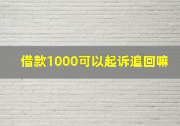 借款1000可以起诉追回嘛