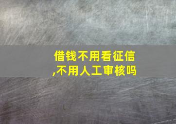 借钱不用看征信,不用人工审核吗